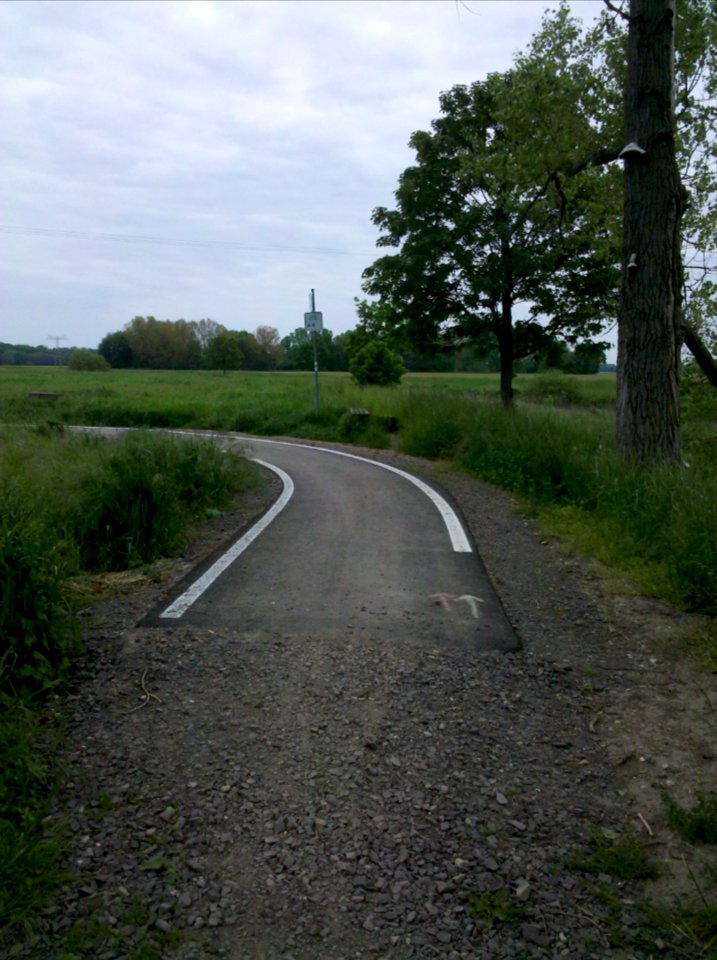Elsterradweg am Albert-Hain südostöstlich von Pegau im Mai 2016a