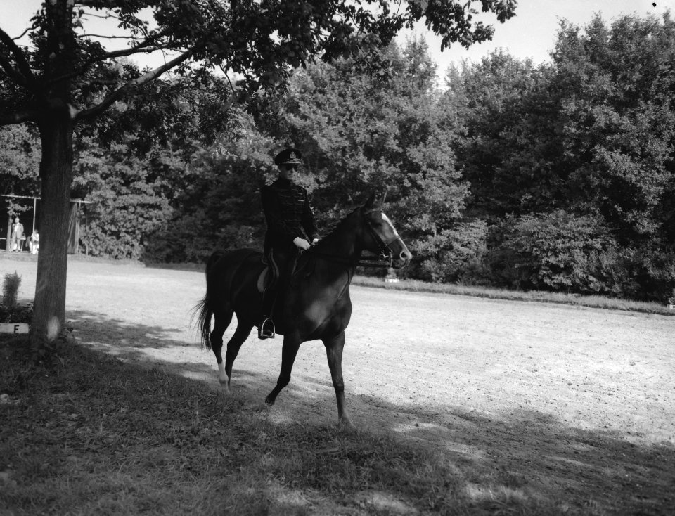 Elfde internationale concours hippique te Rotterdam, Bestanddeelnr 909-8199