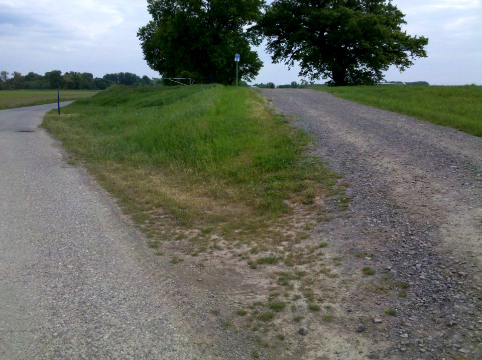 Elsterradweg begleitender Deichverteidigungsweg bei Wiederau im Mai 2016c