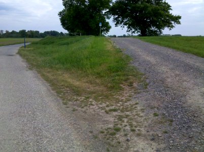 Elsterradweg begleitender Deichverteidigungsweg bei Wiederau im Mai 2016c