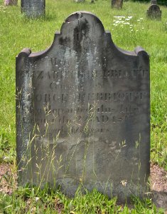 Elizabeth Herriott Tombstone, Bethany Cemetery, 2015-06-11, 01