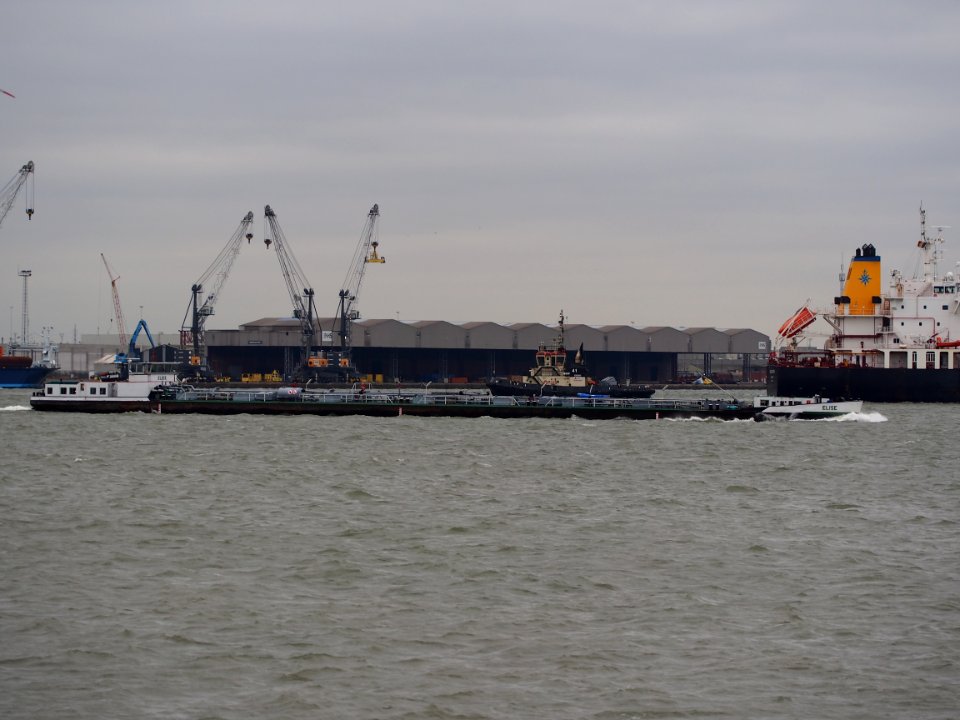 Elise (ship, 1957) ENI 02316508 Port of Antwerp