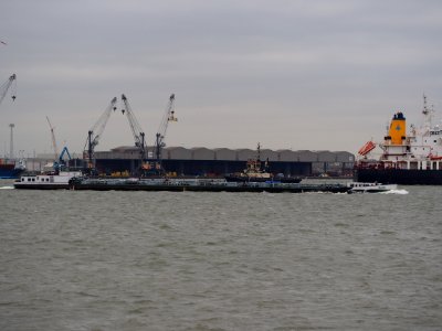 Elise (ship, 1957) ENI 02316508 Port of Antwerp