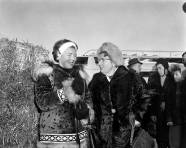 Elfstedentocht 1963. koningin Juliana en Prinses Beatrix bij de finish in Leeuwa, Bestanddeelnr 914-7244