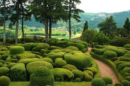 Bowls france bush cut
