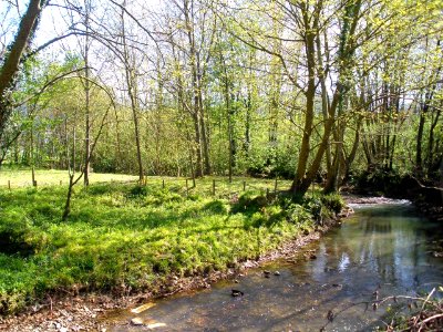 Elorrio - Río Zumelegi 1