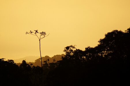 Salento quindio colombia