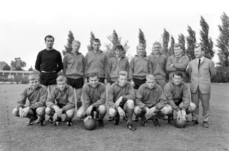 Elftal Twente, staand v.l.n.r. Misec, Huve, Hoomans, Drost, Ten Donkelaar, Gee…, Bestanddeelnr 919-5049