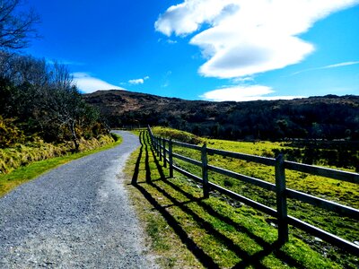 Fence meadow green