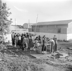 Emigranten (oliem) in het doorgangskamp St. Lucas bij Haifa bij het wassen van …, Bestanddeelnr 255-1175