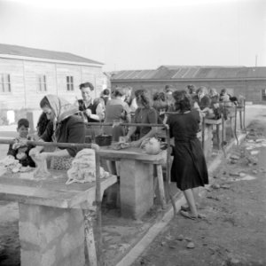 Emigranten (oliem) in het doorgangskamp St. Lucas bij Haifa bij het wassen van …, Bestanddeelnr 255-1177