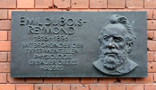 Emil DuBois-Reymond memorial - Charité , Berlin, Germany - DSC02388