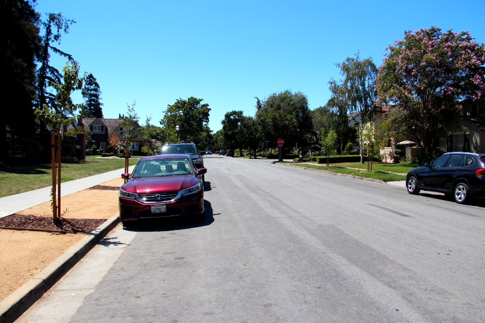Emory Street, Rose Garden, San Jose Aug 2019 2