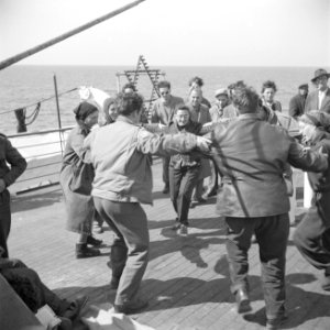 Emigranten (oliem) uit verschillende landen op weg naar Israel, dansen de horra, Bestanddeelnr 255-1107