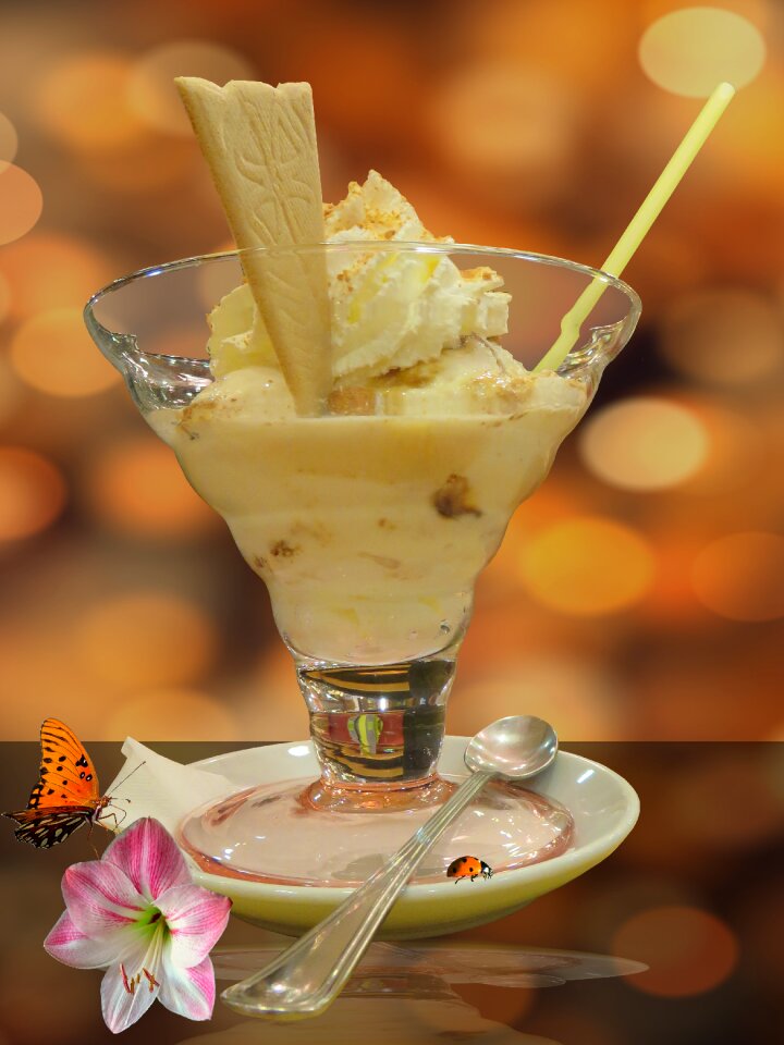 Dessert ice cream vanilla ice cream