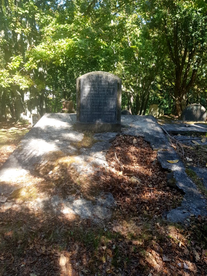 Emily Cumming Harris grave