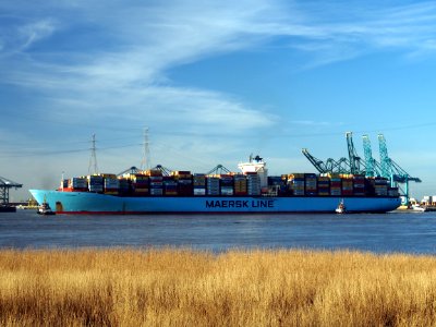 Emma Maersk (ship, 2006) IMO 9321483 Schelde Port of Antwerp pic6