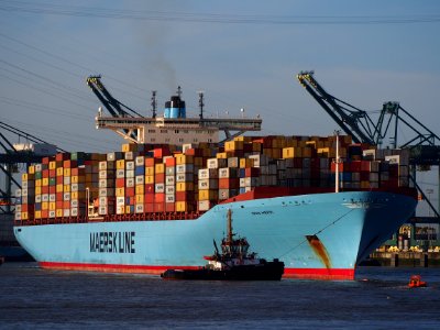 Emma Maersk (ship, 2006) IMO 9321483 Schelde Port of Antwerp pic5