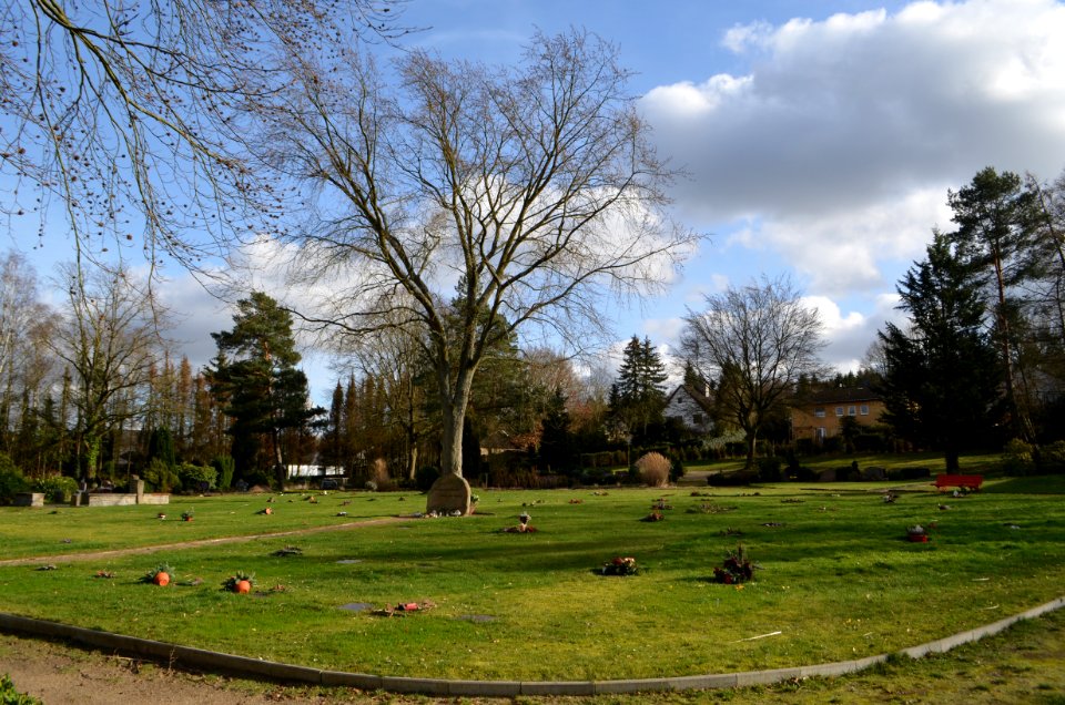 Embsen, Friedhof (1)