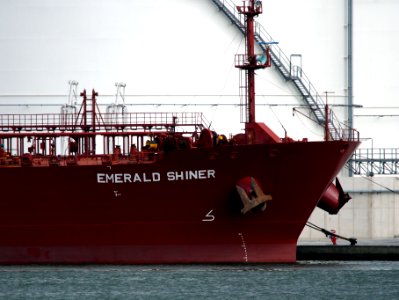 Emerald Shiner(ship, 2005) IMO 9289776 Port of Antwerp pic1