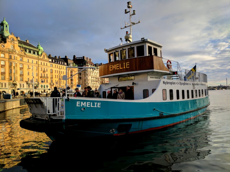 Emelie 21 januari 2017 - 01