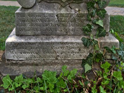 Emma L. Nixon Grave, Old St. Luke’s, 2015-08-12, 03