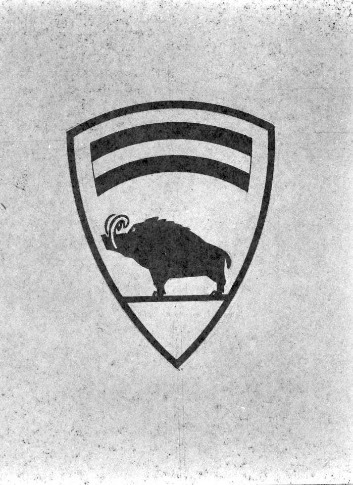 Embleem Troepencommando Zuid- en Midden-Celebes, Bestanddeelnr 8555