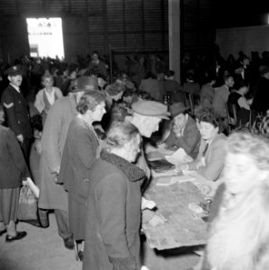 Emigranten (oliem) worden bij aankomst in Israel geregistreerd, Bestanddeelnr 255-1153