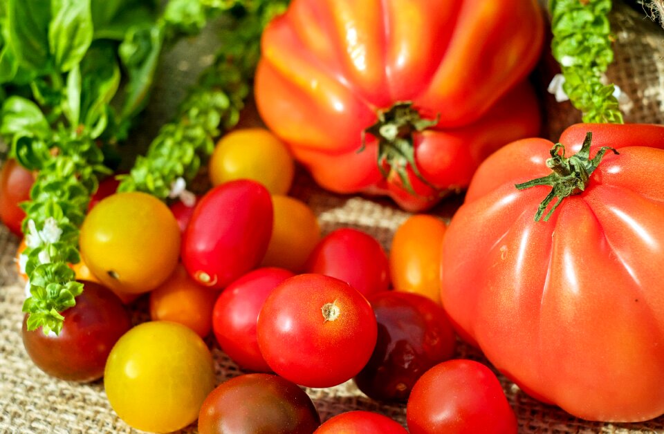 Fresh harvest summer