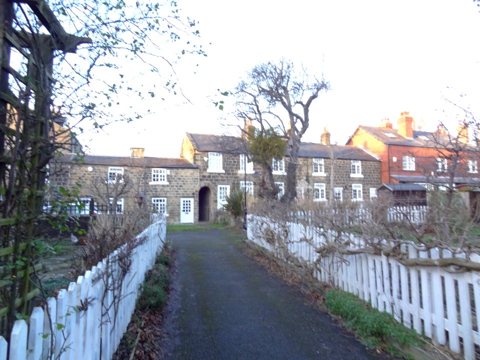 Ellis Terrace, Headingley