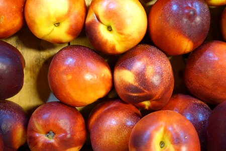 Sweet fruit tasty