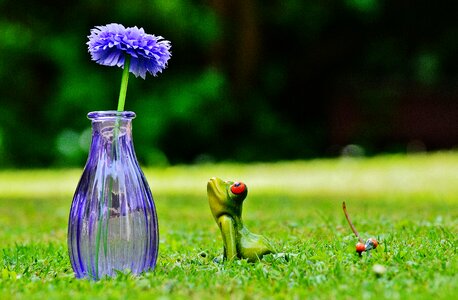 Funny cute sweet