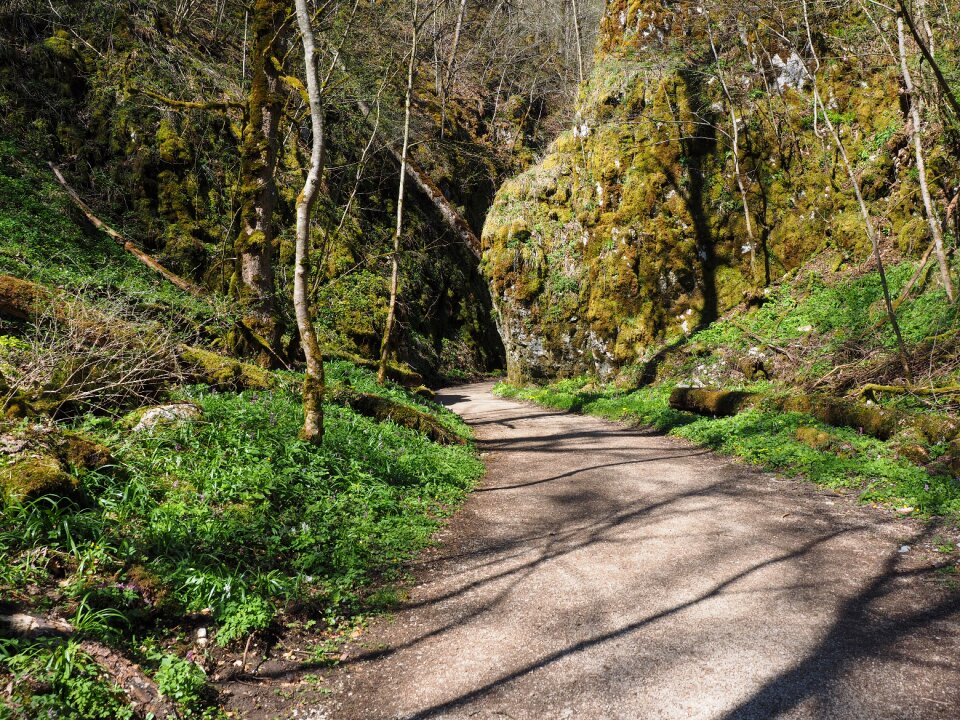 Trail swabian alb hiking