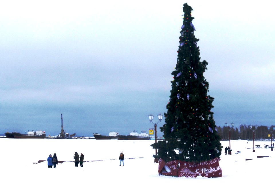 Embankment Onezhskaya 2019 (1)