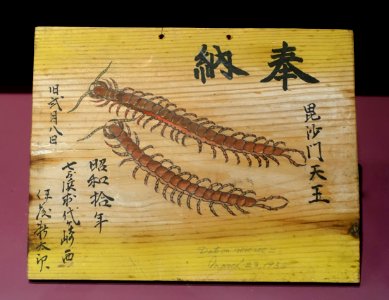 Ema (votive plaque), Japan, 1935, wood, paint - Fowler Museum - University of California, Los Angeles - DSC02493