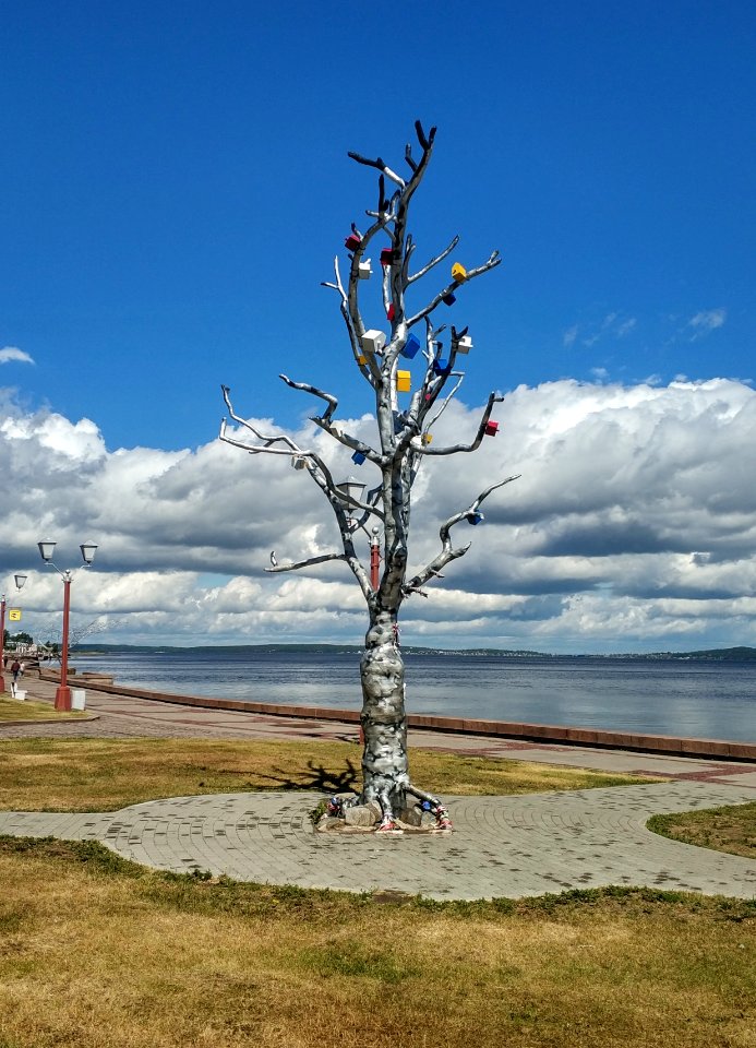 Embankment Onezhskaya, 2020