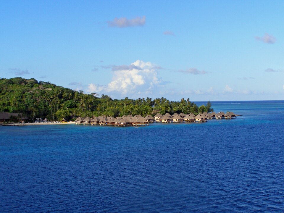 Society island tropical photo