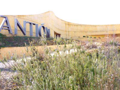 Elciego - Bodegas Antión 01
