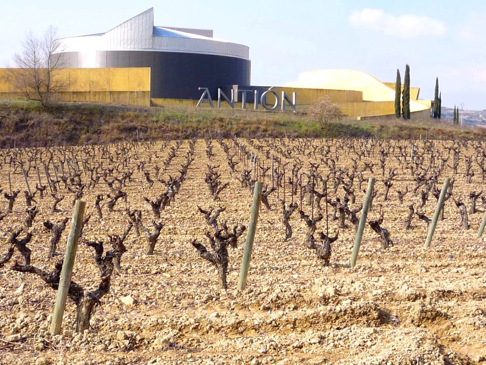 Elciego - Bodegas Antión 10