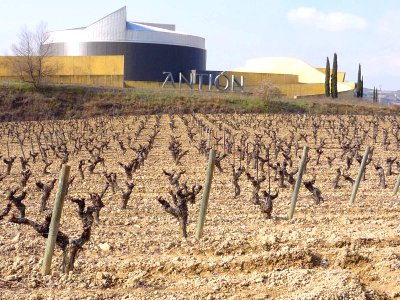 Elciego - Bodegas Antión 10