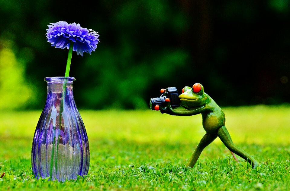 Photographer photograph funny