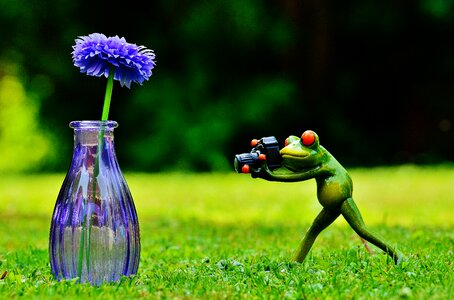Photographer photograph funny