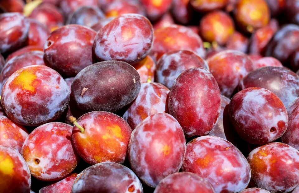 Fruits violet purple harvest