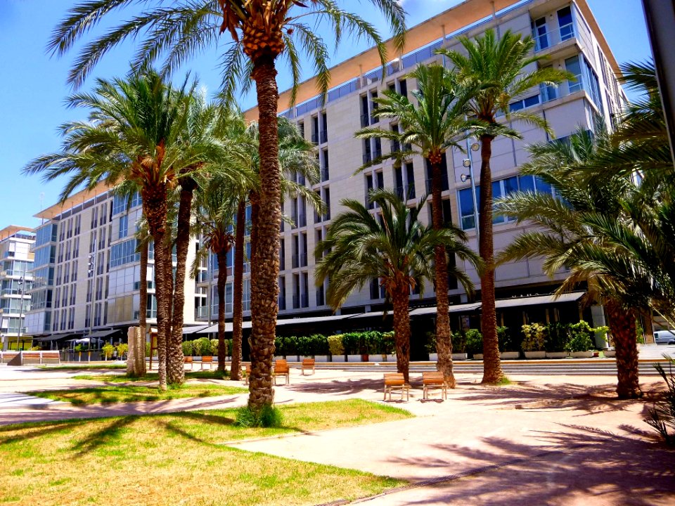 Elche - Parque del Filet de Fora 10