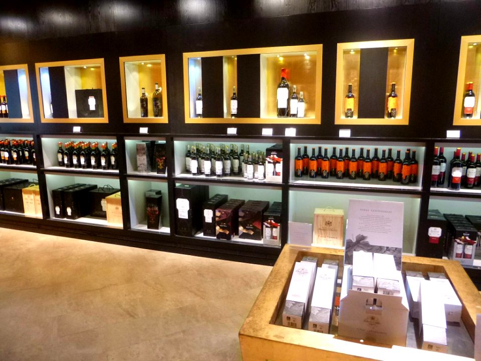 Elciego - Ciudad del Vino-Marqués de Riscal, tienda-bar 10