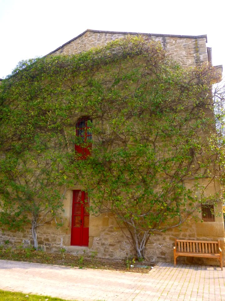 Elciego - Ciudad del Vino-Marqués de Riscal 09