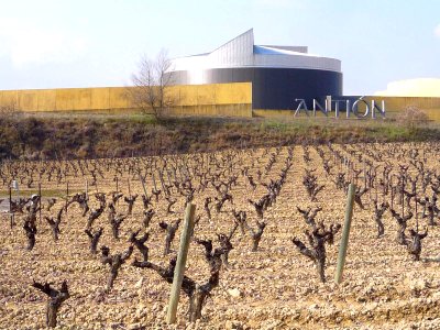 Elciego - Bodegas Antión 09