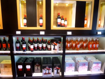Elciego - Ciudad del Vino-Marqués de Riscal, tienda-bar 05