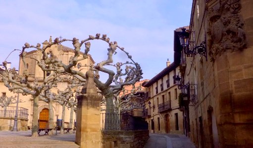 Elciego - Plaza Mayor 8