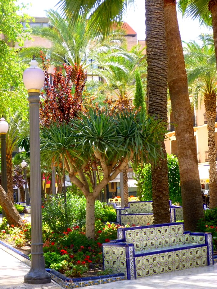 Elche - Plaza de la Glorieta 23
